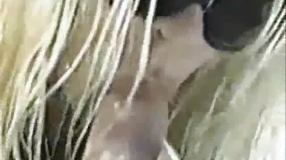 Hij neukt twee free nederlandse porno meisjes.